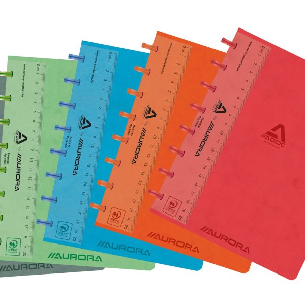 ADOC Ringbuch LIN-EX A5 3845.748 assortiert, kariert 144 Seiten