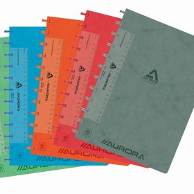 ADOC Ringbuch LIN-EX A4 6811.744 assortiert, liniert 144 Seiten