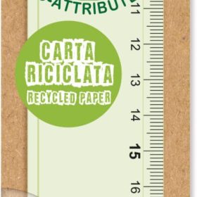ARDA Massstab 30cm RE30 Re-Generation