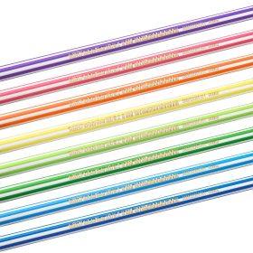 BIC Bleistift Evolution Stripes 8960342 sechskant-Mine ass. 12 Stk.