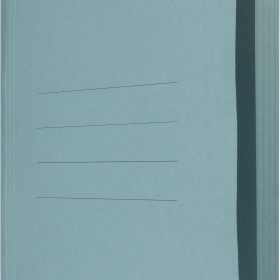 BIELLA Schnellhefter Praxis A4 16740005U blau, 320gm2 250 Bl.