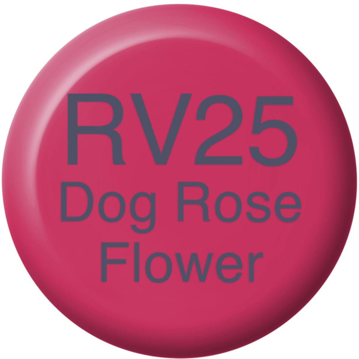 COPIC-21076180-4511338057810 COPIC Ink Refill 21076180 RV25 - Dog Rose Flower – Bild 1