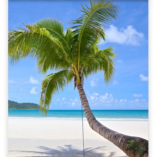 DEBEX Posterleisten 51x2cm LWMG 51 weiss, magnetisch