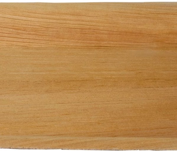 EJS Palmblatt-Teller 24x16cm 3143.3002 25 Stk.