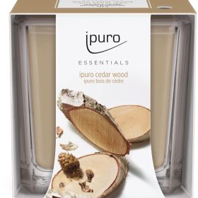 IPURO Duftkerze Essentials 051.1205 cedar wood 125g