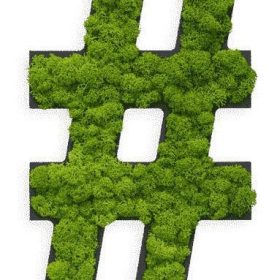 Piktogramm: Sonderzeichen "Hashtag" Islandmoos