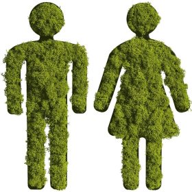 Piktogramm: Moospärchen 25cm