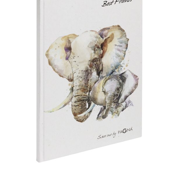 Alben, Spezialbücher