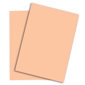 PAPYRUS Rainbow Papier FSC A4 88042498 80g, lachs 500 Blatt