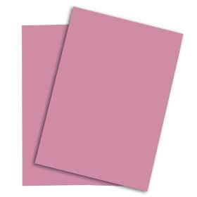 PAPYRUS Rainbow Papier FSC A4 88043107 120g, rosa 250 Blatt