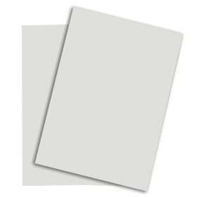 PAPYRUS Rainbow Papier FSC A4 88043118 hellgrau, 120g 250 Blatt