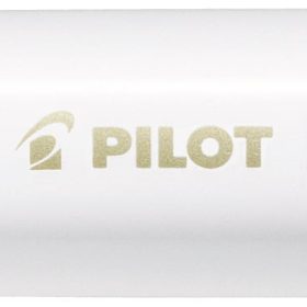 PILOT Marker Pintor M SW-PT-M-GD gold