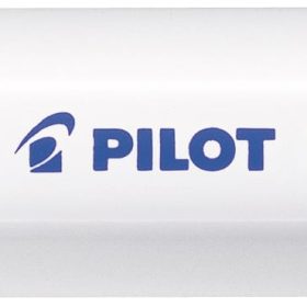 PILOT Marker Pintor M SW-PT-M-L blau