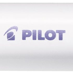 PILOT Marker Pintor M SW-PT-M-MV metallic violett