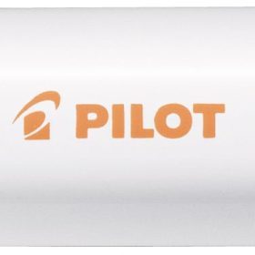 PILOT Marker Pintor M SW-PT-M-O orange
