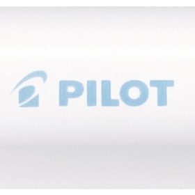 PILOT Marker Pintor M SW-PT-M-PL pastell blau