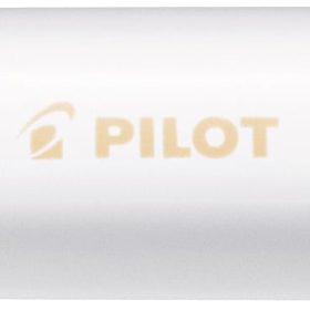 PILOT Marker Pintor M SW-PT-M-PO lachs