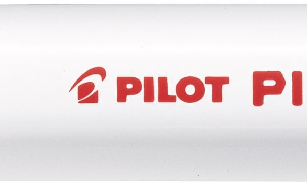 PILOT Marker Pintor M SW-PT-M-R rot