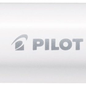 PILOT Marker Pintor M SW-PT-M-S silber