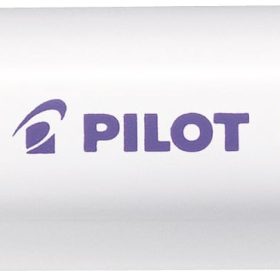 PILOT Marker Pintor M SW-PT-M-V violett