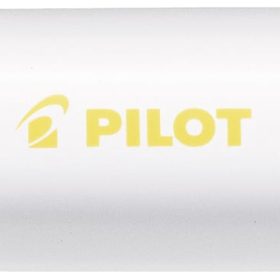 PILOT Marker Pintor M SW-PT-M-Y gelb