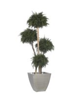 freistehende Pflanzen stabilisiert