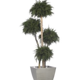 freistehende Pflanzen stabilisiert