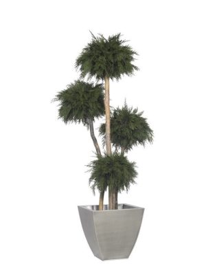 freistehende Pflanzen stabilisiert