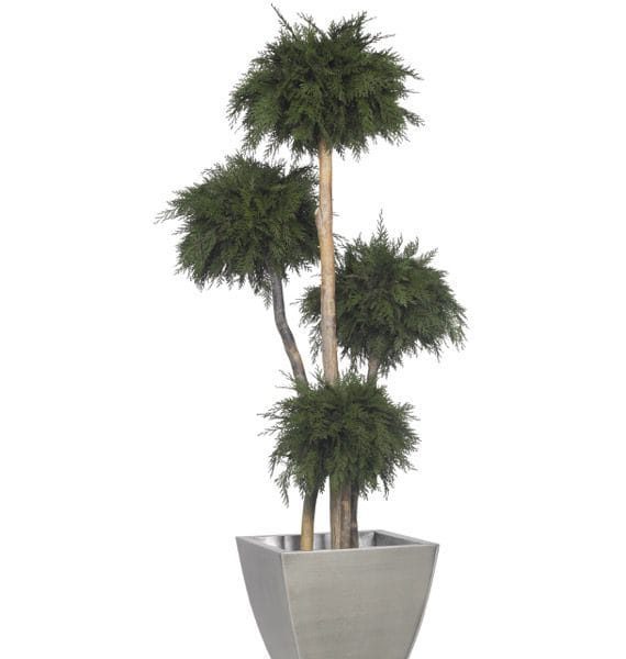 freistehende Pflanzen stabilisiert