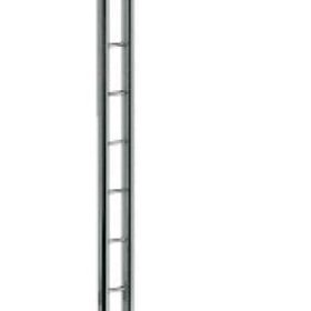 Scala Ständer für Herren und Damen, Energie Linie