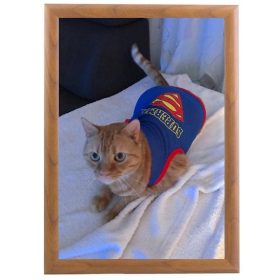 Snap Frame Holz Look dunkel 25mm