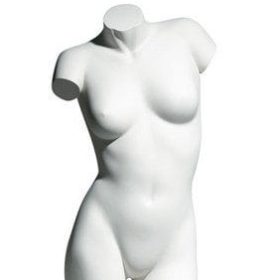 Damen Torso Premium, Position 1