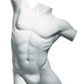 Herren Torso Premium, Position 2
