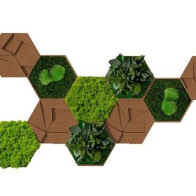 Kork-Hexagon 10er Set
