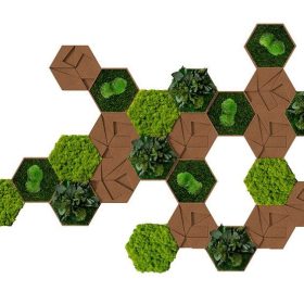 Kork Hexagon 25er Set