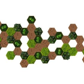 Kork Hexagon 50er Set