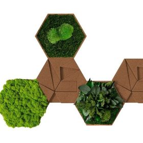Kork Hexagon 5er Set