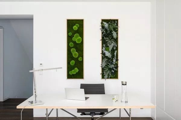 Pflanzenbild im Dschungeldesign 140x40 cm – Hochwertig & günstig bei ShopDeca