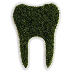 Piktogramm: Zahn gross Waldmoos (50cm)