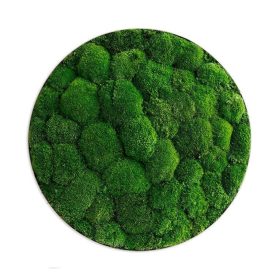 Moosbild: Kugelmoos-Ellipsoid 54cm