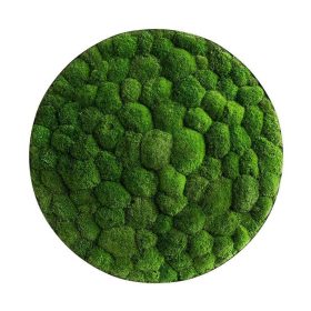 Moosbild: Kugelmoos-Ellipsoid 80cm