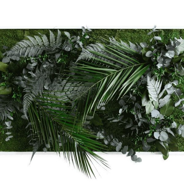 Pflanzenbild im Dschungeldesign 100x60cm