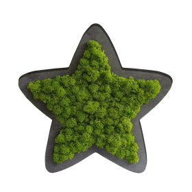 Piktogramm: Sternchen Islandmoos