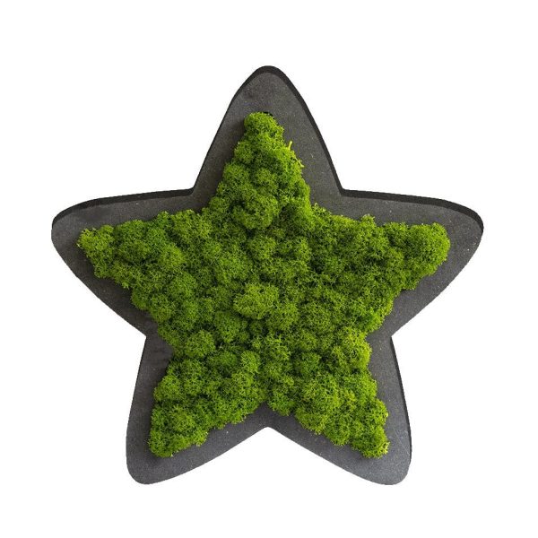 Piktogramm: Sternchen Islandmoos