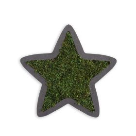 Piktogramm: Sternchen