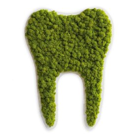 Piktogramm: Zahn gross Islandmoos Maigrün (50cm)