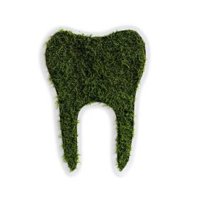 Piktogramm: Zahn klein Waldmoos (30cm)