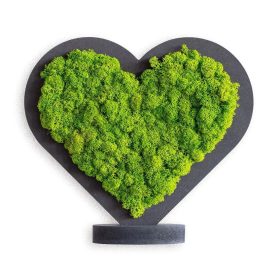 Piktogramm: Herzchen Grün (20cm)