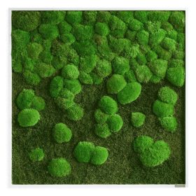 Moosbild Verlauf: Wald- und Kugelmoosbild Verlauf 80x80cm