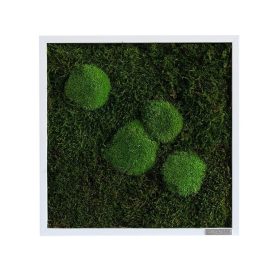 Moosbild: Wald- und Kugelmoosbild 35x35cm